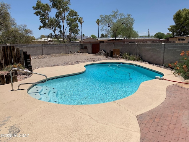 2973 S Kolb Rd, Tucson, AZ 85730 - view of swimming pool featuring a patio and a fenced backyard
