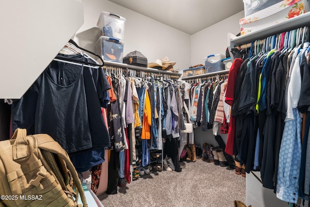 13331 N Carbine Ct, Marana, AZ 85653 - spacious closet featuring carpet floors