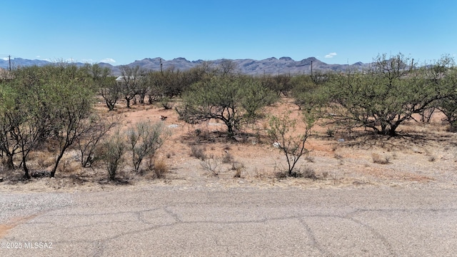 1834 Via El Paso Unit 7, Rio Rico, AZ 85648