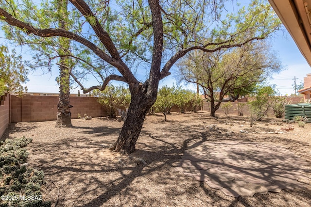 8410 E Heath Ct, Tucson, AZ 85715 - view of fenced backyard