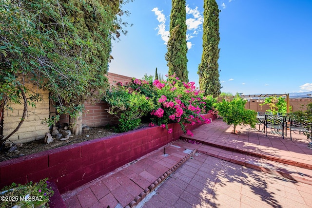 8681 E Desert Palm St, Tucson, AZ 85730 - fenced backyard with a patio