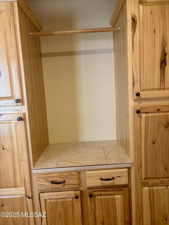 6100 N La Canada Dr, Tucson, AZ 85704 - view of closet