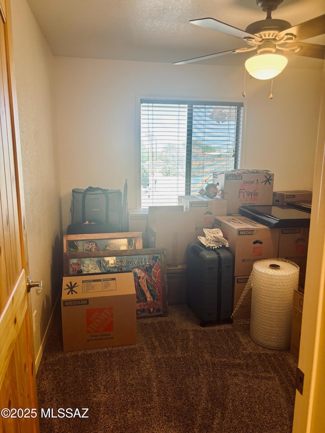 6100 N La Canada Dr, Tucson, AZ 85704 - storage area with ceiling fan