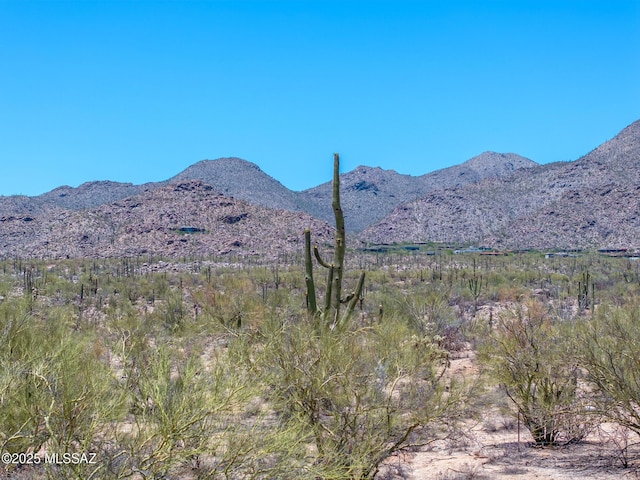 4334 W Butterfly Mountain Dr Unit 8, Marana, AZ 85658
