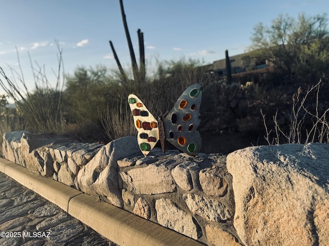 4334 W Butterfly Mountain Dr Unit 8, Marana, AZ 85658