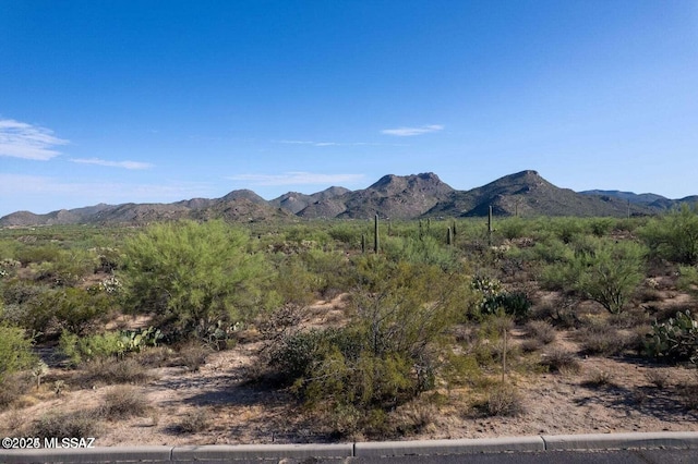 4334 W Butterfly Mountain Dr Unit 8, Marana, AZ 85658