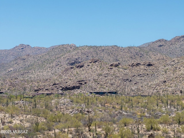 4334 W Butterfly Mountain Dr Unit 8, Marana, AZ 85658