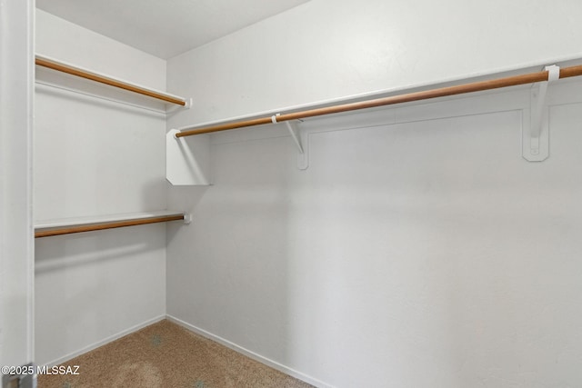 7705 W Taltson Dr, Tucson, AZ 85743 - spacious closet with carpet floors