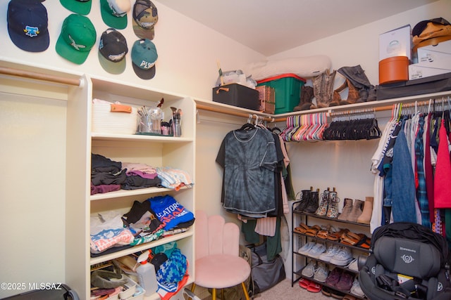 9495 N Winter Wren Ave, Tucson, AZ 85742 - spacious closet featuring carpet floors