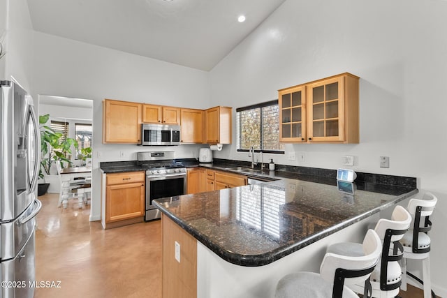 10636 E Malta St, Tucson, AZ 85747 - kitchen featuring appliances with stainless steel finishes, high vaulted ceiling, a peninsula, glass insert cabinets, and plenty of natural light