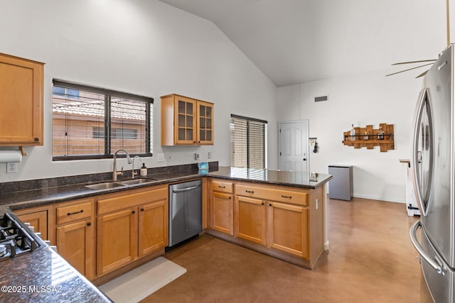 10636 E Malta St, Tucson, AZ 85747 - kitchen featuring stainless steel appliances, a peninsula, finished concrete flooring, high vaulted ceiling, and glass insert cabinets