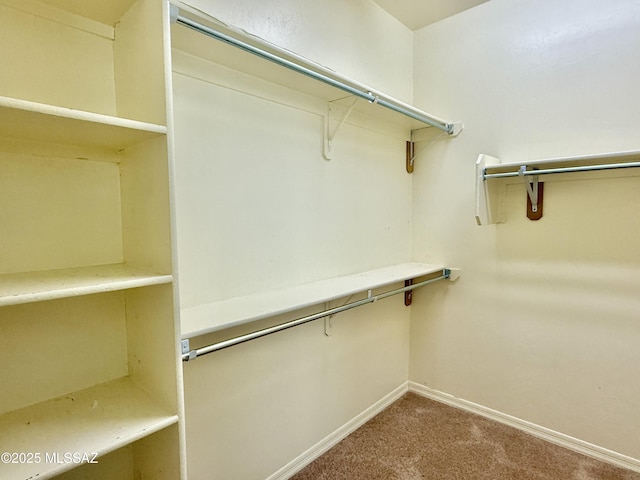 8361 N Mountain Stone Pine Way, Tucson, AZ 85743 - walk in closet featuring carpet floors