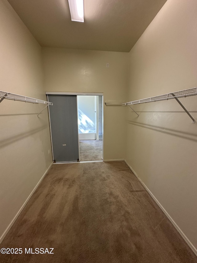 13049 N Woosnam Way, Oro Valley, AZ 85755 - walk in closet with carpet flooring