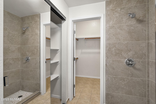 446 Soda Ln, Rio Rico, AZ 85648 - full bathroom featuring a shower stall, a spacious closet, and tile patterned flooring