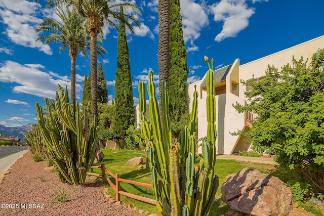 1600 N Wilmot Rd Unit 302, Tucson, AZ 85712 - view of yard