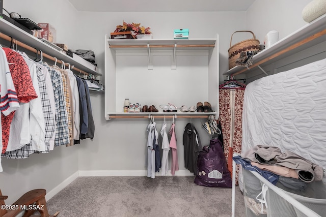 276 W Charles L Mckay St, Vail, AZ 85641 - walk in closet with carpet