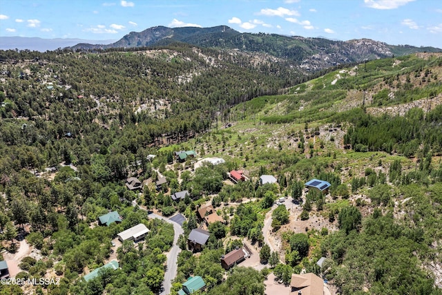 11101 E Miami St, Mount Lemmon, AZ 85619 - aerial view of mountains and a heavily wooded area
