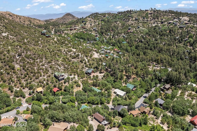 11101 E Miami St, Mount Lemmon, AZ 85619 - view of property location with mountains