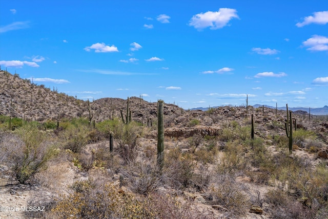 13960 N Jims Deadend Pl Unit 33, Marana, AZ 85658