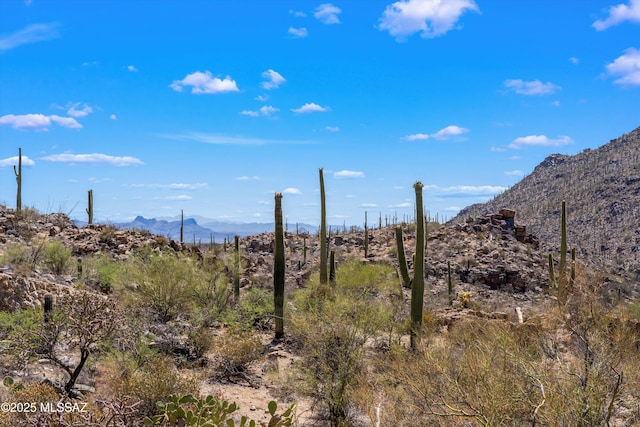 13960 N Jims Deadend Pl Unit 33, Marana, AZ 85658