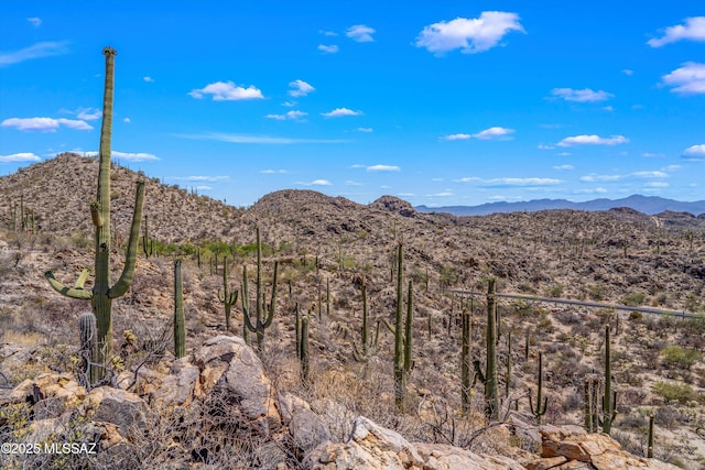 13960 N Jims Deadend Pl Unit 33, Marana, AZ 85658