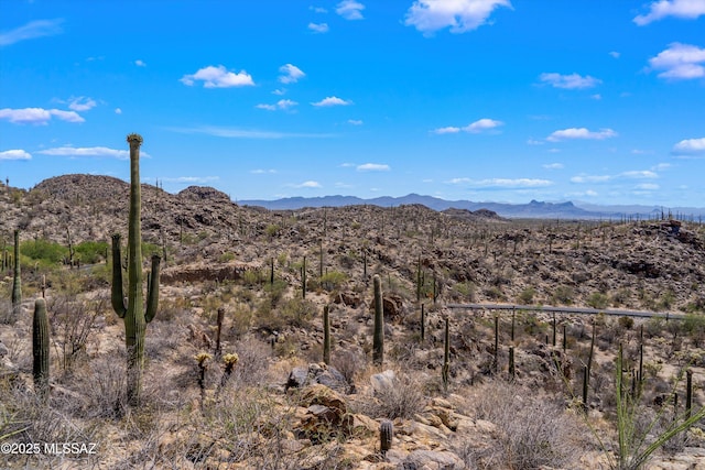 13960 N Jims Deadend Pl Unit 33, Marana, AZ 85658