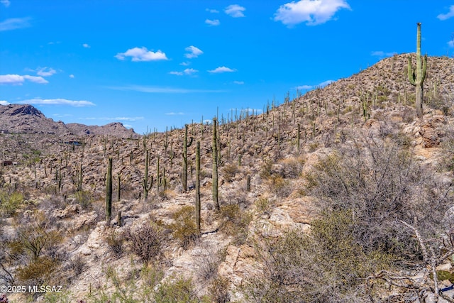 13960 N Jims Deadend Pl Unit 33, Marana, AZ 85658