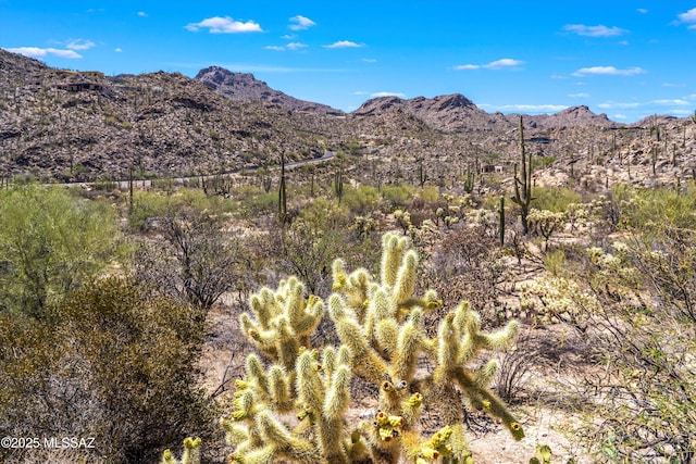 13960 N Jims Deadend Pl Unit 33, Marana, AZ 85658