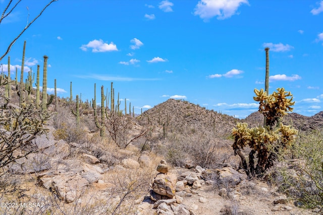 13960 N Jims Deadend Pl Unit 33, Marana, AZ 85658
