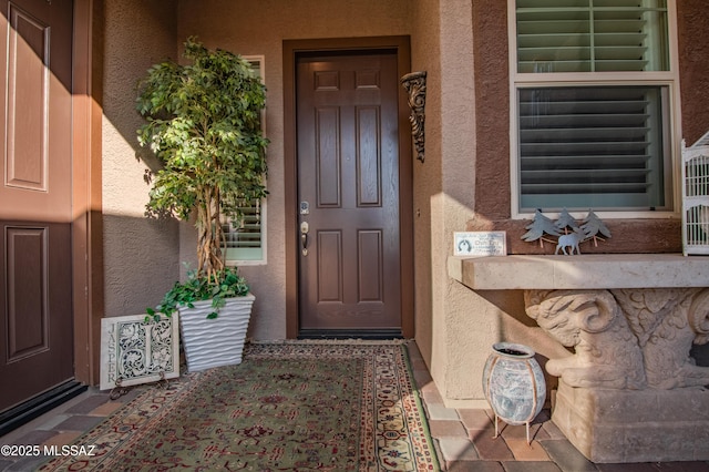 14326 Whitehorn Pl, Marana, AZ 85658 - property entrance with stucco siding