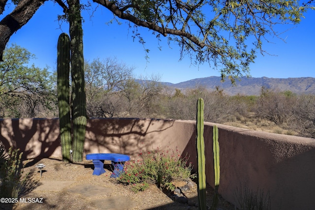 10380 E Rancho Del Este Dr, Tucson, AZ 85749 - view of yard with a mountain view