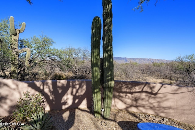 10380 E Rancho Del Este Dr, Tucson, AZ 85749 - view of yard featuring a mountain view