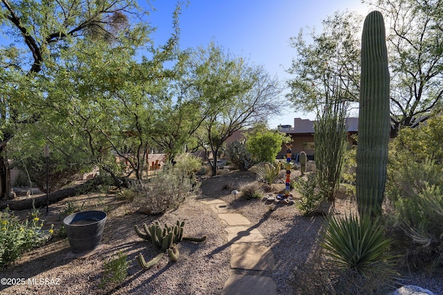 10380 E Rancho Del Este Dr, Tucson, AZ 85749 - view of yard