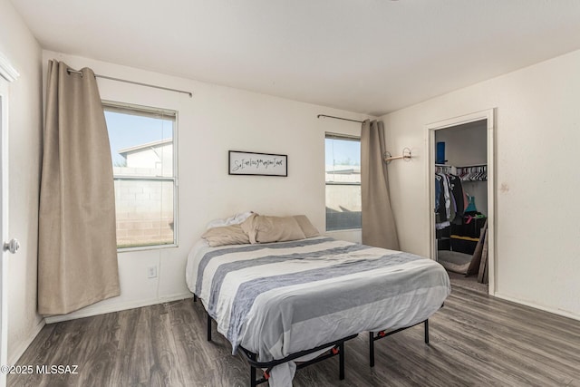 6293 S Sun View Way, Tucson, AZ 85706 - bedroom with wood finished floors, multiple windows, a spacious closet, and a closet