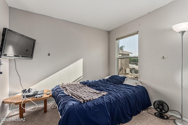 6293 S Sun View Way, Tucson, AZ 85706 - bedroom featuring carpet floors and a textured wall