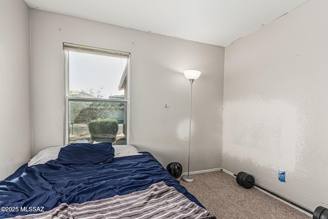 6293 S Sun View Way, Tucson, AZ 85706 - bedroom with carpet flooring and baseboards