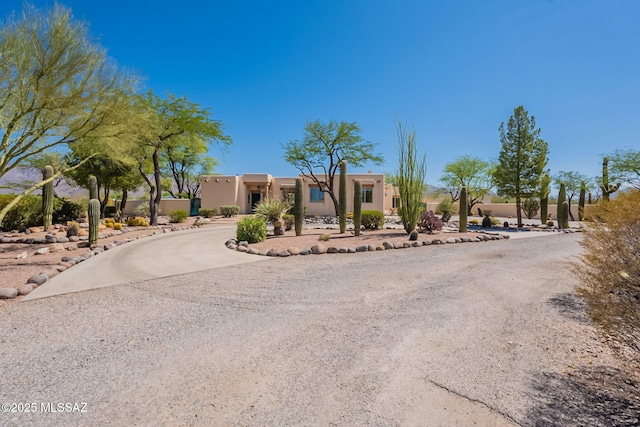 3655 N Harrison Rd, Tucson, AZ 85749 - southwest-style home with stucco siding and curved driveway