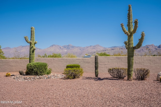 3655 N Harrison Rd, Tucson, AZ 85749 - mountain view
