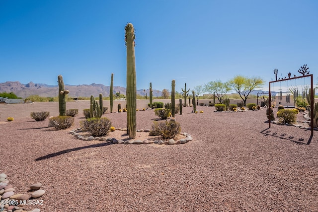 3655 N Harrison Rd, Tucson, AZ 85749 - view of yard featuring a mountain view