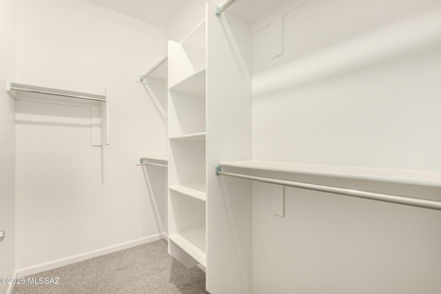 3710 S Bellingham Pl, Tucson, AZ 85730 - spacious closet with carpet floors