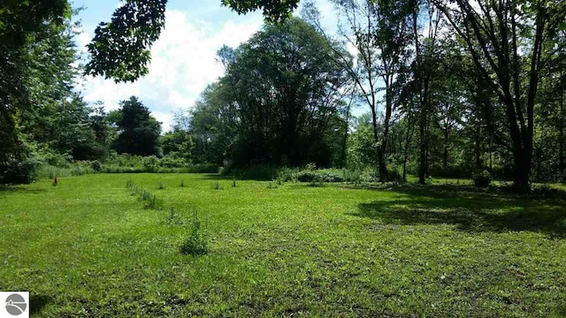 Listing photo 2 for TBD S Isabella Rd, Mount Pleasant MI 48858