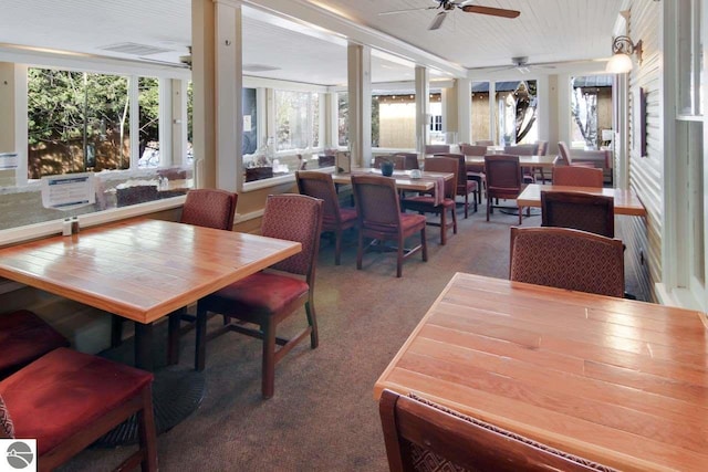 dining room featuring ceiling fan and carpet