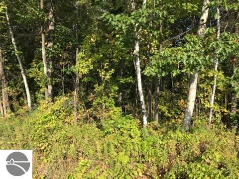 N/A Huron, Tawas City MI, 48763 land for sale