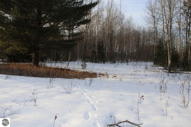 002 Tope Ct, Mancelona MI, 49659 land for sale