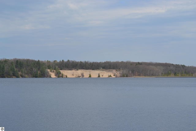 view of water feature