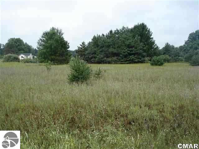 1031 Pyrenees Dr, Lake Isabella MI, 48893 land for sale