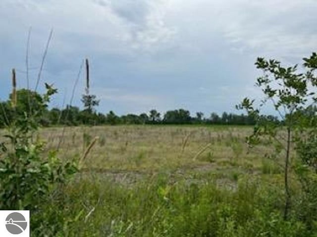 N/A Tonkey Rd, Au Gres MI, 48703 land for sale