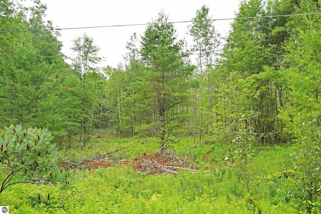 ParcelH F-30, Greenbush MI, 48738 land for sale