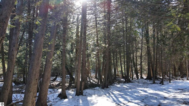 00 N Cathead Bay Dr, Northport, MI 49670