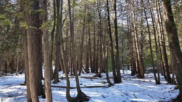 00 N Cathead Bay Dr, Northport, MI 49670